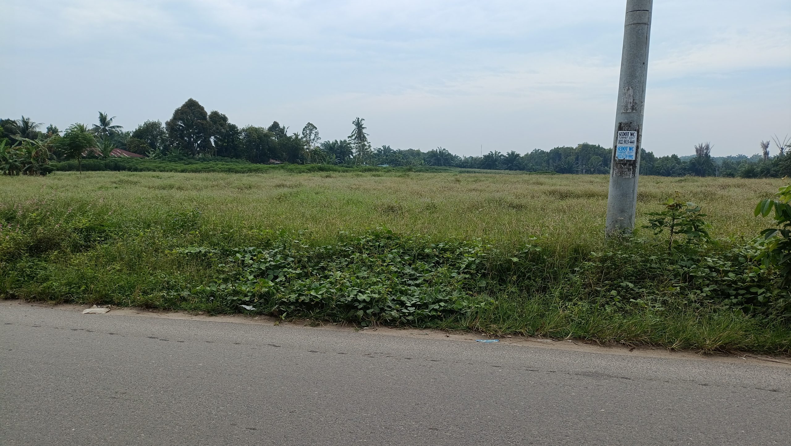 Tanah dijual di Tanjung Morawa luas 3.2 hektar harga 200 ribu permeter, SHM