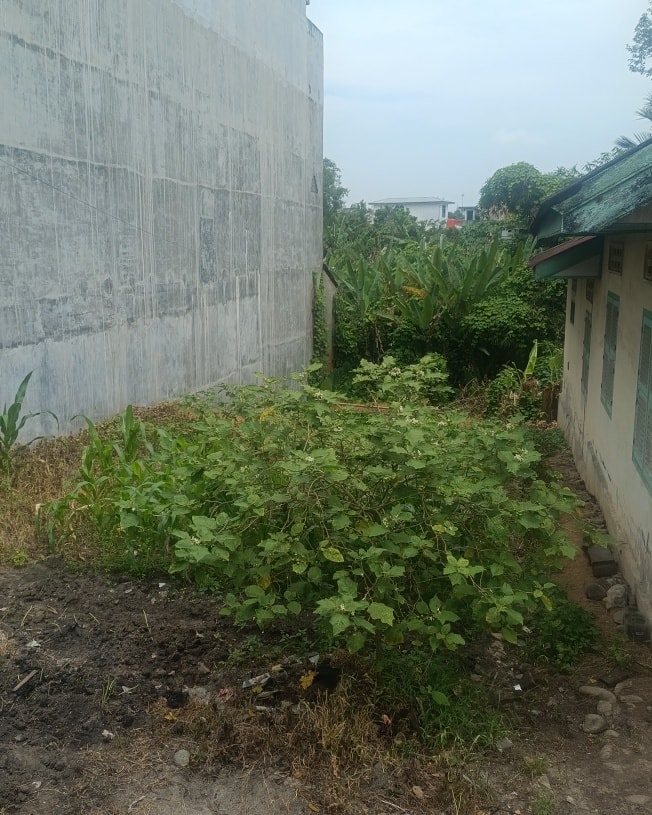 Dijual Rumah Lama Dengan Luas Tanah 1890 di Tebing Tinggi Kota di Jl.Pahlawan Dekat Rs Bhayangkara